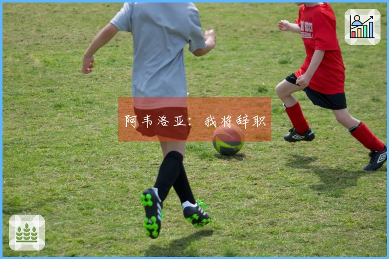 阿韦洛亚：我将辞职